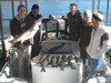 (11/29/2014) - Nice Striped Bass
